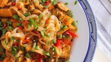 Can you eat shirataki noodles everyday?