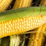 Can you eat the skin on trail bologna?