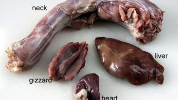 Can you eat turkey giblets?