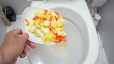 Can you flush cooked rice down the toilet?
