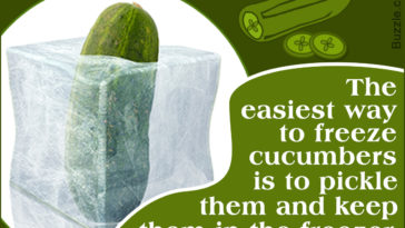 Can you freeze battered pickles?