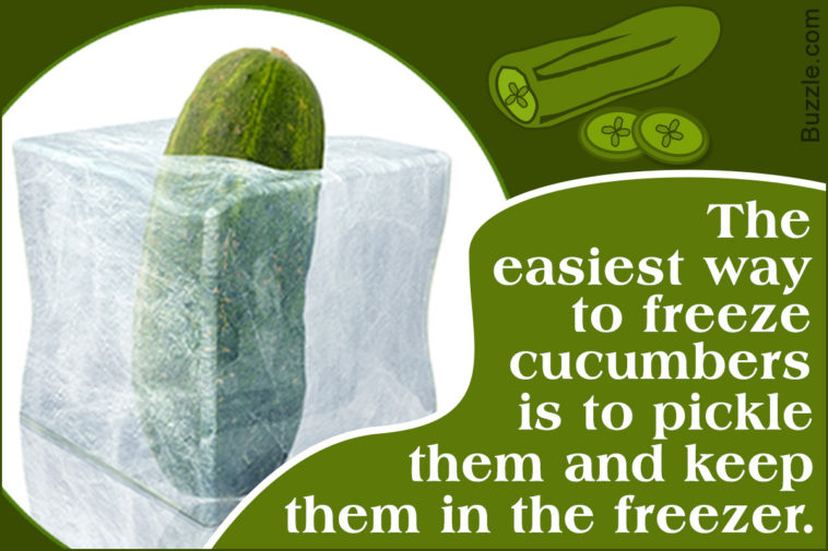 Can you freeze battered pickles?