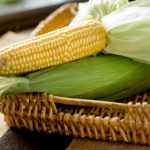 Can you freeze fresh corn on the cob in the husk?