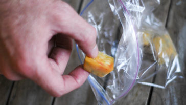 Can you freeze passionfruit?