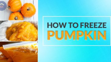 Can you freeze pumpkin from a can?