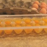 Can you freeze raw eggs for later use?