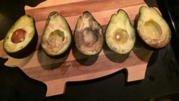 Can you get botulism from garlic in olive oil?