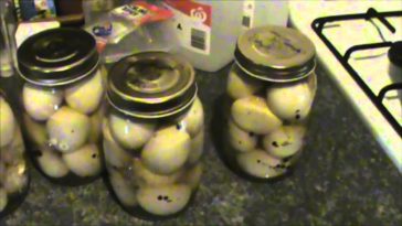 Can you get botulism from pickled eggs?