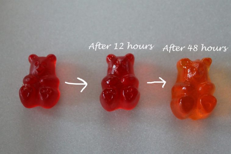 Can you get drunk off vodka soaked gummy bears?
