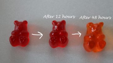 Can you get drunk off vodka soaked gummy bears?