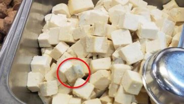 Can you get food poisoning from tofu?