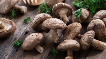 Can you get sick from shiitake mushrooms?