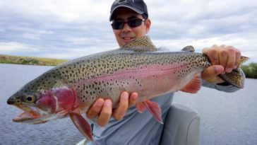 Can you keep rainbow trout in Montana?