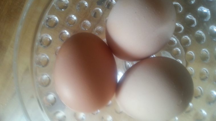 Can you leave butter and eggs out overnight?