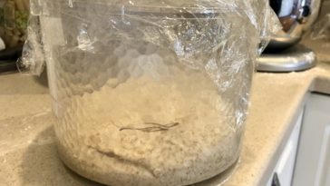 Can you let dough rise in a metal bowl?