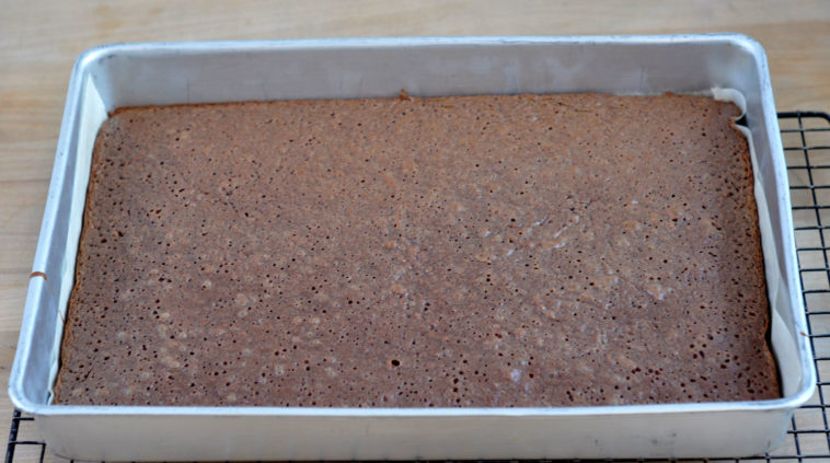 Can you make brownies in a 9x13 pan?