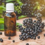 Can you overdose on elderberry?