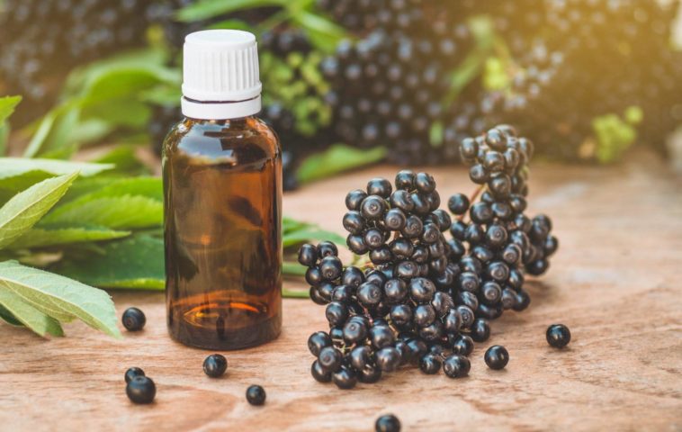 Can you overdose on elderberry?