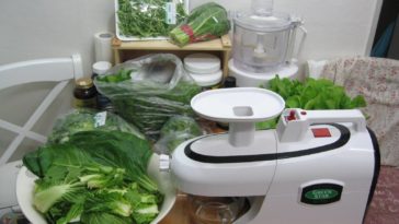 Can you put leafy greens in a juicer?