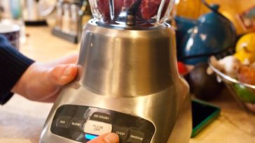 Can you put meat in a blender?