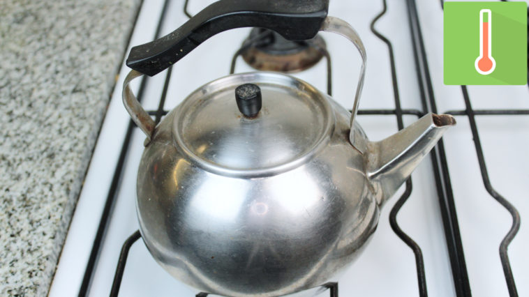 Can you put tea bags in an infuser?