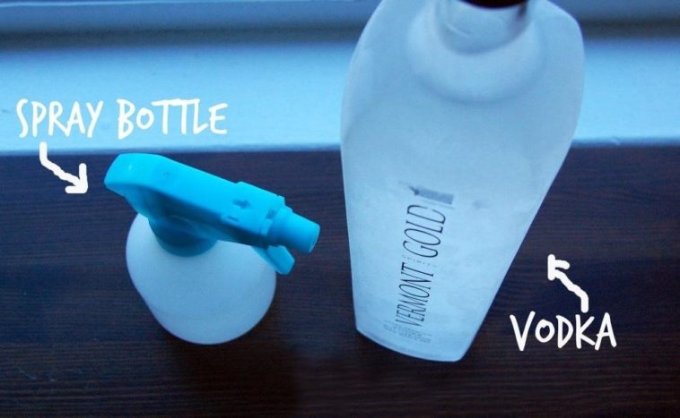 Can you really not smell vodka on your breath?