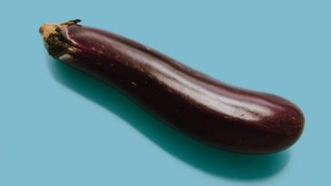 Can you reheat eggplant parmesan in the microwave?