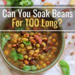 Can you soak kelp too long?