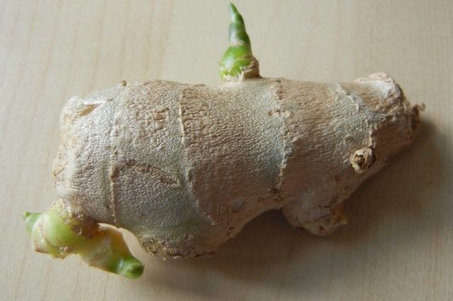 Can you still use ginger that has sprouted?