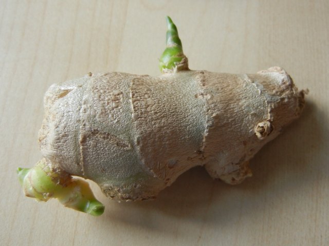 Can you still use ginger that has sprouted?