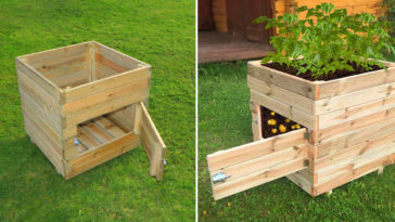 Can you store potatoes in a wooden box?