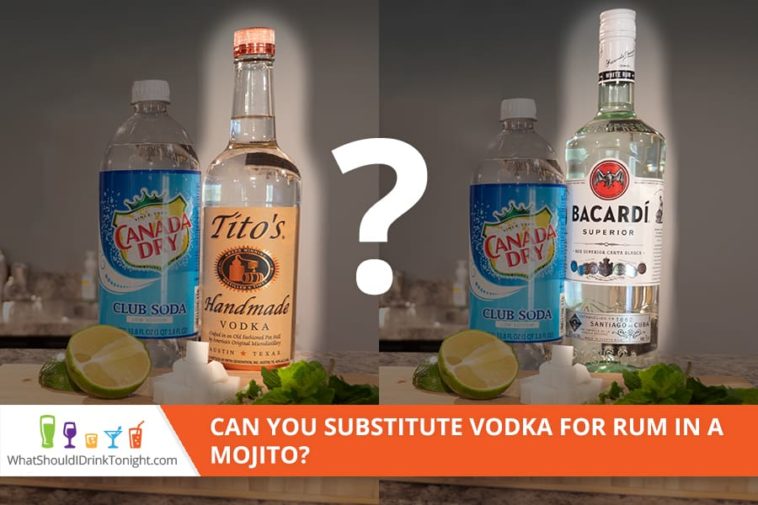 Can you substitute vodka in a mojito?