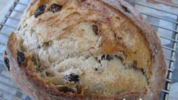 Can you toast sourdough bread?