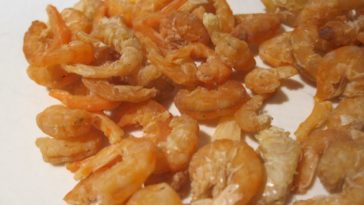 Can you use dried shrimp instead of shrimp paste?