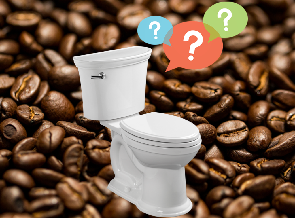 Does squash make you poop?