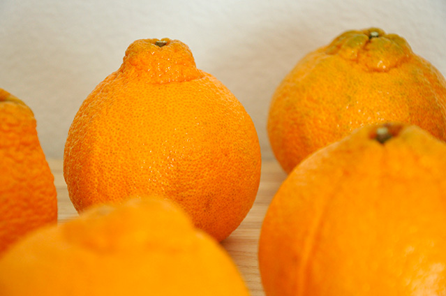 Are sumo oranges supposed to be soft? - Foodly