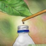 Did Sonic get rid of their wings?