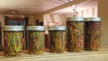 Do I have to boil vinegar for pickling?