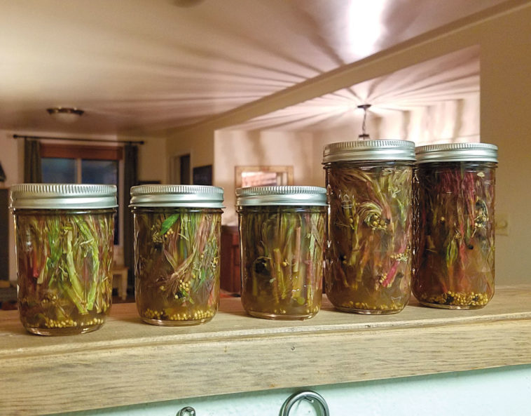 Do I have to boil vinegar for pickling?