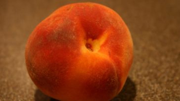 Do I need two peach trees?