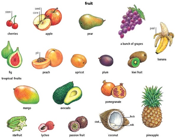 do-all-one-seeded-fruits-have-big-seeds