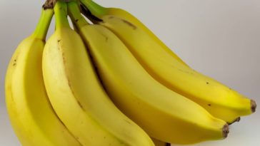 Do banana chips make you gain weight?