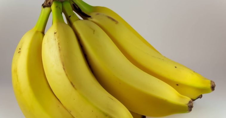 Do banana chips make you gain weight?