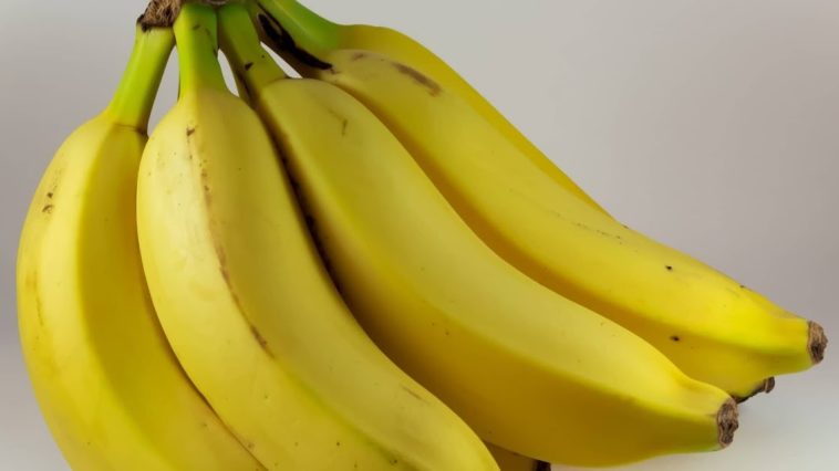 Do banana chips make you gain weight?