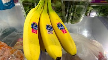 Do bananas go in the fridge?