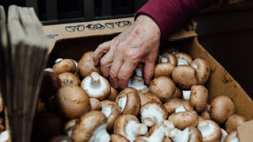 Do beets go bad in the fridge?