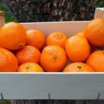 Do bitters need to be refrigerated?