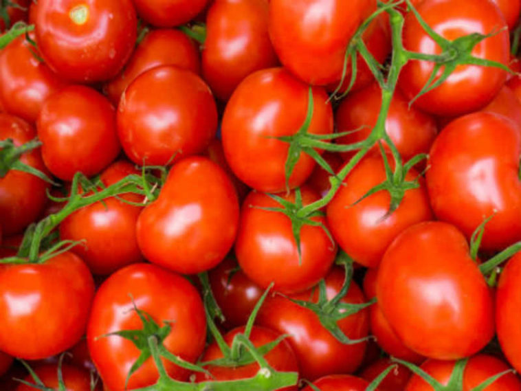 Do cherry tomatoes help you lose weight?
