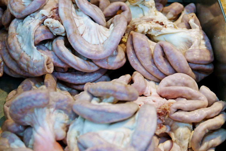 Do chitlins have poop in them?