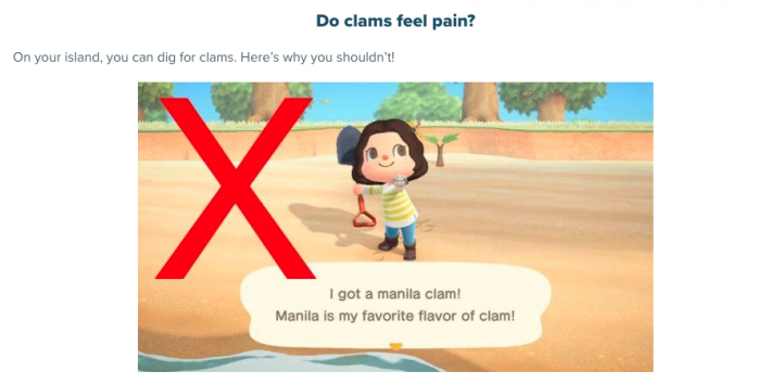 Do clams feel pain?